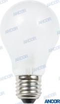 TD4 AM532025 - BOMBILLA 24V 25W